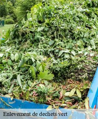 Enlevement de dechets vert 13 Bouches-du-Rhône  Marseille Débarras